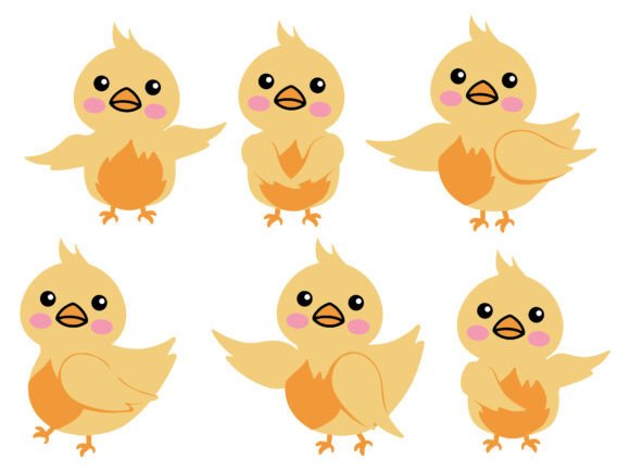 Chicks Animals Illustration Background